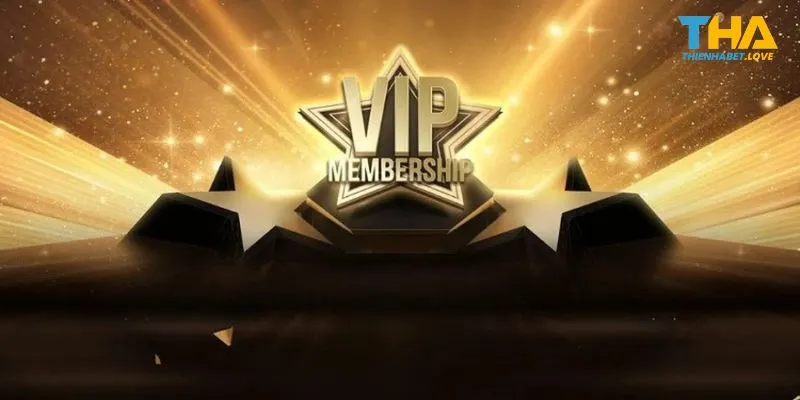Chính sách thành viên Vip